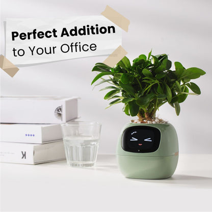 Smart Plant - Planta de Compañia