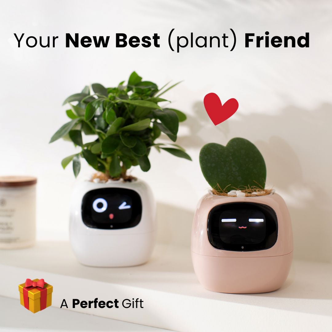 Smart Plant - Planta de Compañia