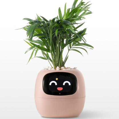 Smart Plant - Planta de Compañia