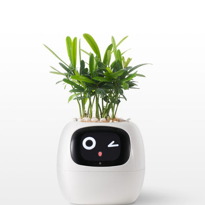 Smart Plant - Planta de Compañia