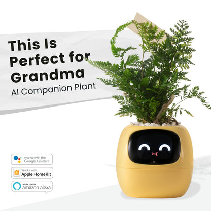 Smart Plant - Planta de Compañia