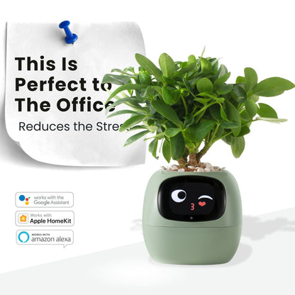 Smart Plant - Planta de Compañia