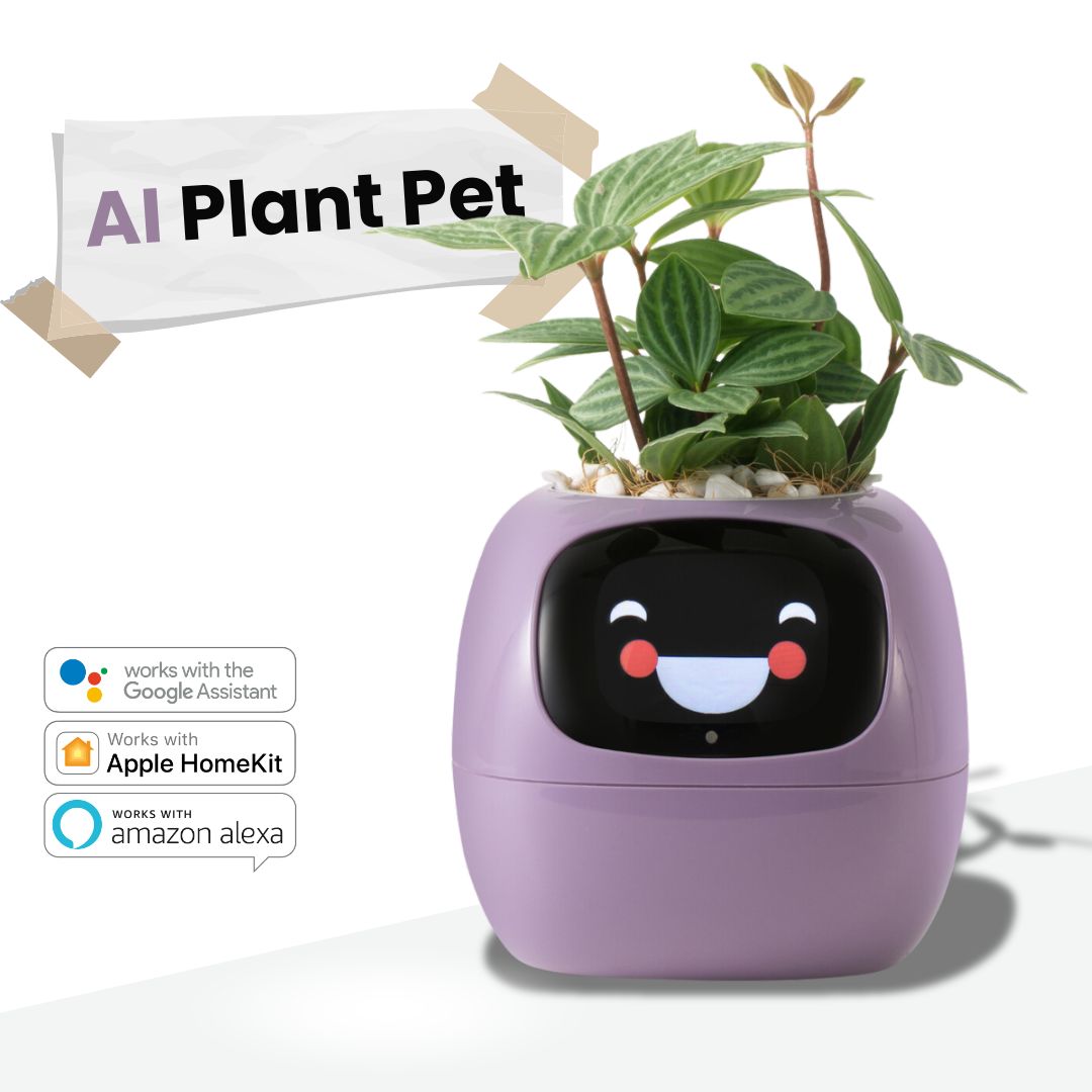 Smart Plant - Unternehmensanlage