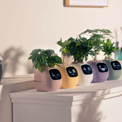 Smart Plant - Planta de Compañia