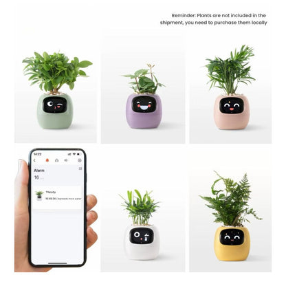 Smart Plant - Planta de Compañia