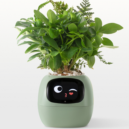 Smart Plant - Planta de Compañia